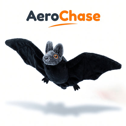 AeroChase
